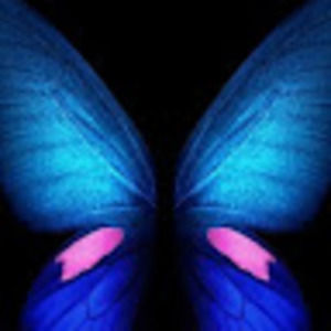 Meet your Posher, Edith